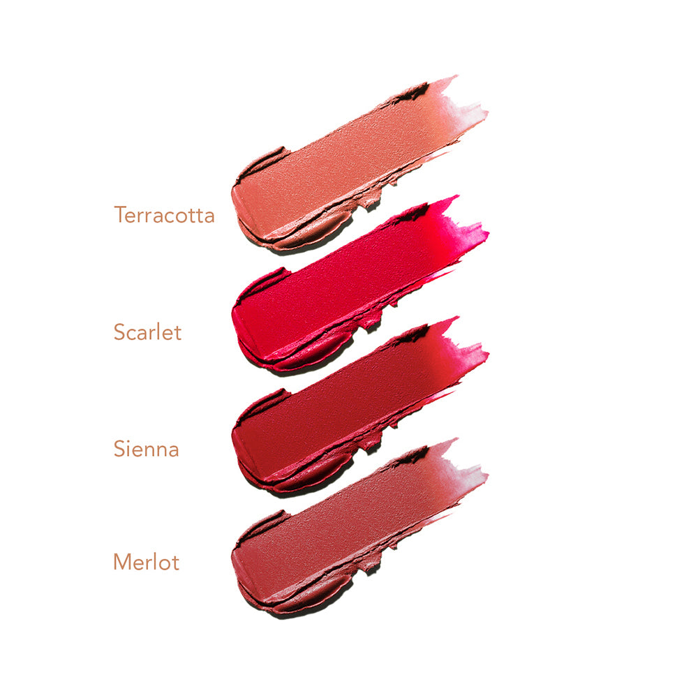 Set of 4 Lipsticks